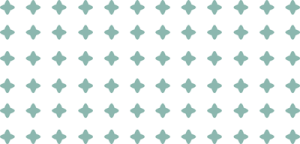 Pagrindinis Pattern 300x144 2